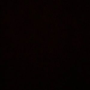 Meet your Posher, Nina